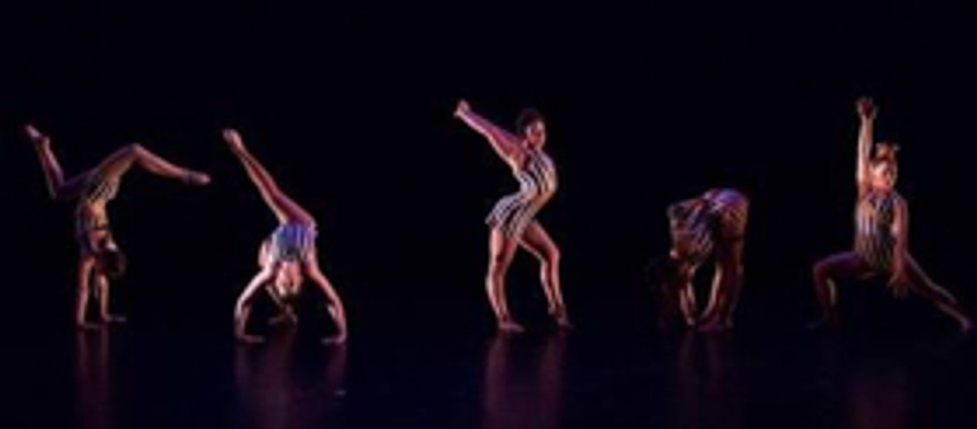 Ellie Dubois' NO SHOW Comes to Soho Theatre Ellie Dubois' NO SHOW Comes to Soho Theatre Image