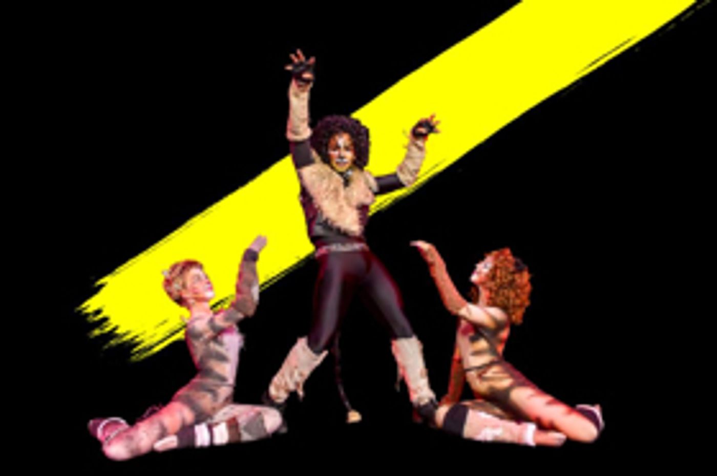 CATS Set to Roar at the Maltz Jupiter Theatre  Image