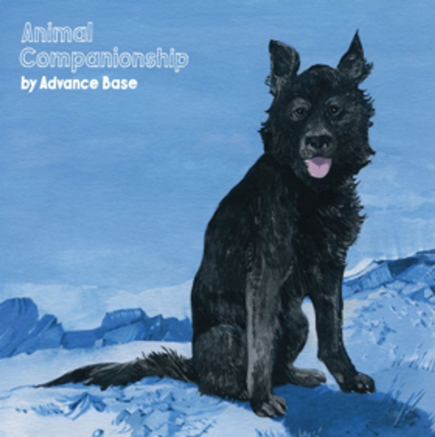 Advance Base Shares 'Your Dog,' New Album 'Animal Companionship' Out Today  Image