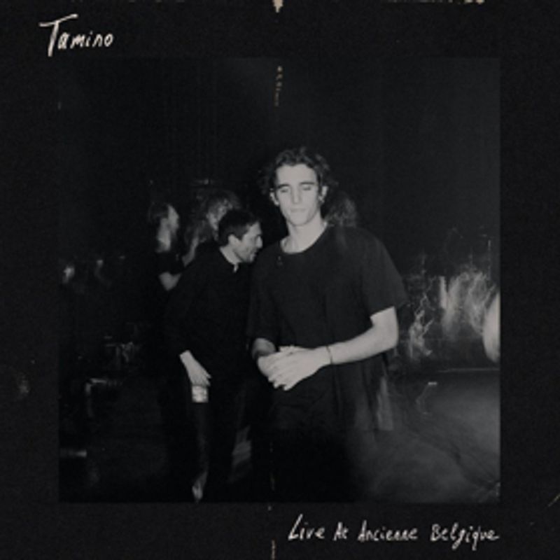 Colin Greenwood Joins Tamino on Latest Live Single 'Indigo Night' Image
