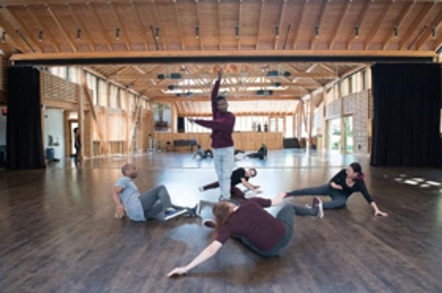 Works & Process at the Guggenheim Presents Ephrat Asherie Dance: ODEON Image