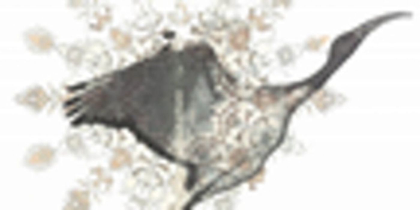 Met Opera's Lauren Flanigan To Star In Must-See Cultural Event FLIGHT OF THE IBIS Met Opera's Lauren Flanigan To Star In Must-See Cultural Event FLIGHT OF THE IBIS Image