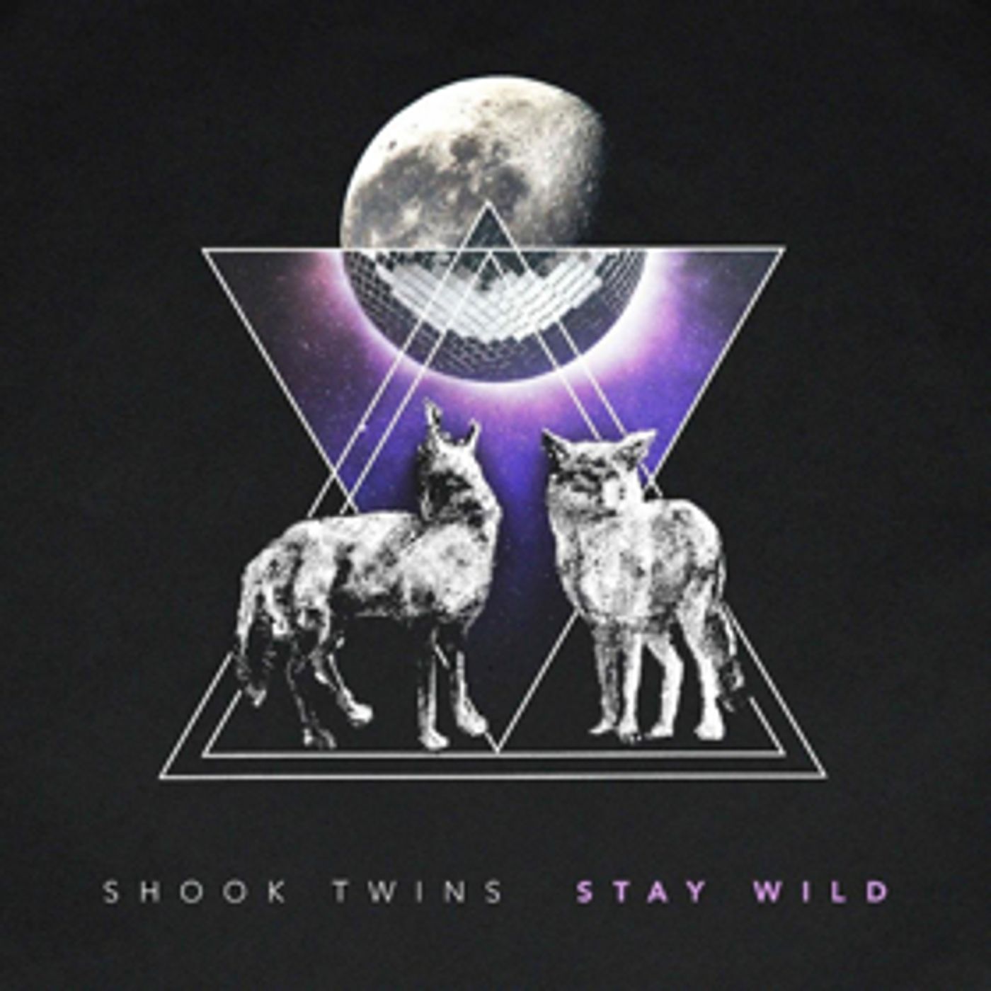 The Shook Twins Release New Track STAY WILD Out Now  Image
