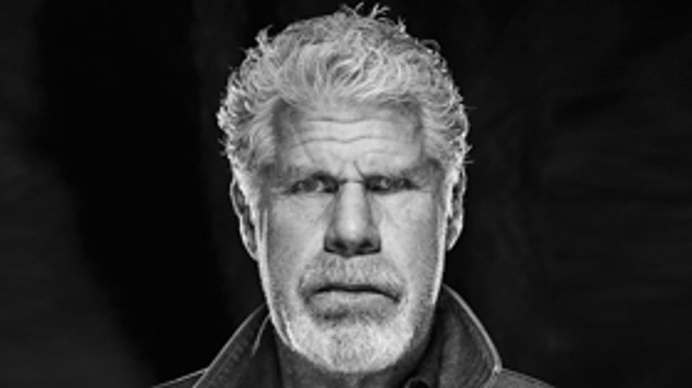 Ron Perlman, Famke Janssen Join Cast of BBC One's THE CAPTURE  Image