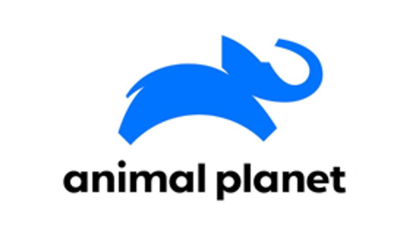 Animal Planet Presents New Series THE AQUARIUM Animal Planet Presents New Series THE AQUARIUM Image