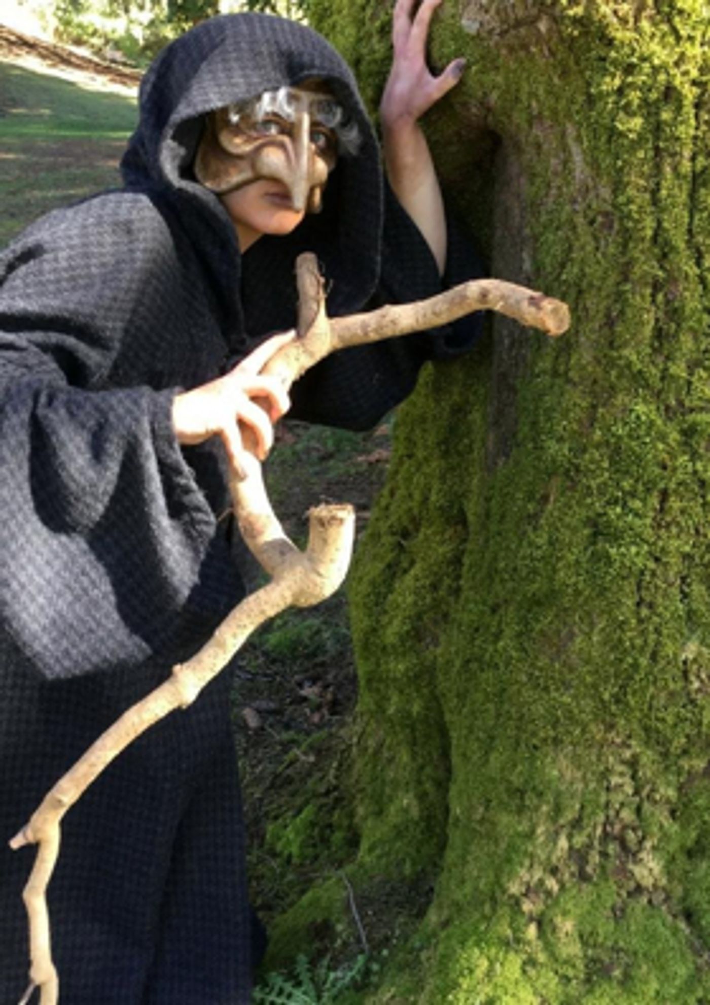 North Shore Light Opera Society ventures INTO THE WOODS for its 70th Anniversary Production  Image