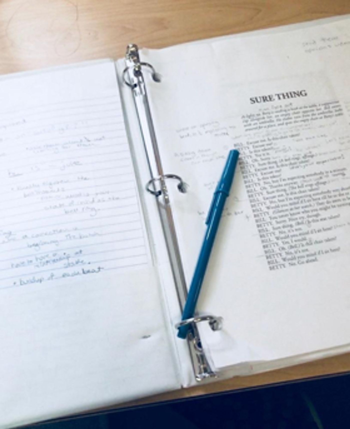 BWW Blog: How I Became a Director  Image