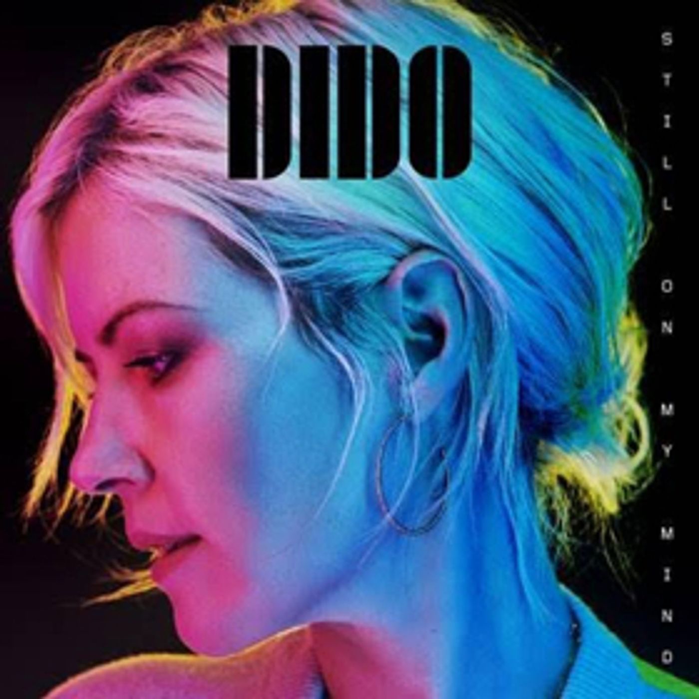 Dido to Release First Album in Five Years, 'Still On My Mind'  Image