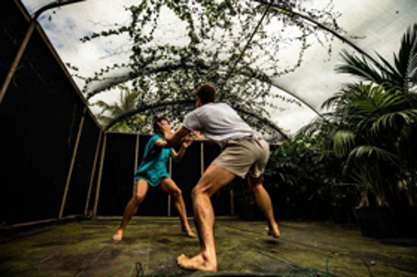 Kumu Kahua Theatre Announces Dark Night Performance: ORANGE CRUSH  Image