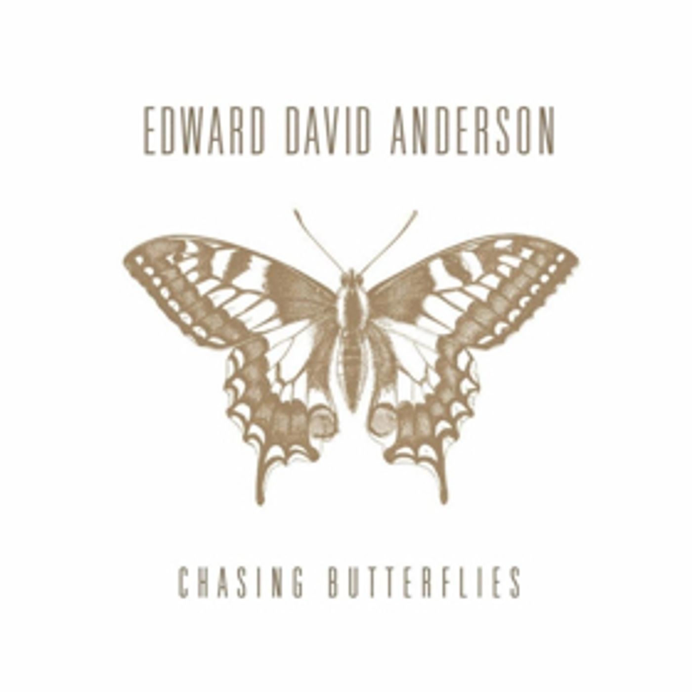 Edward David Anderson Shares Title Track Of New Muscle Shoals Recording CHASING BUTTERFLIES  Image