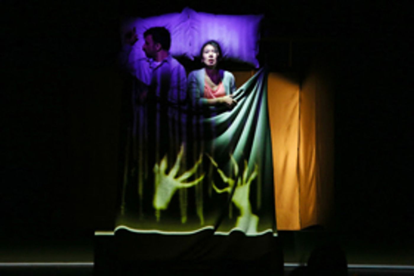 Ripe Time Makes 'Next Wave' Debut with Haruki Murakami's SLEEP Tonight at BAM  Image