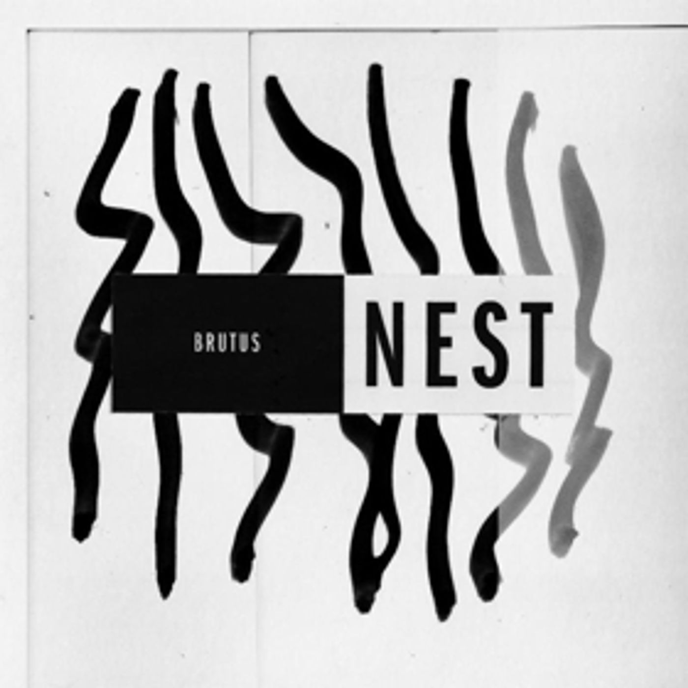 BRUTUS Announce New Album 'Nest'  Image