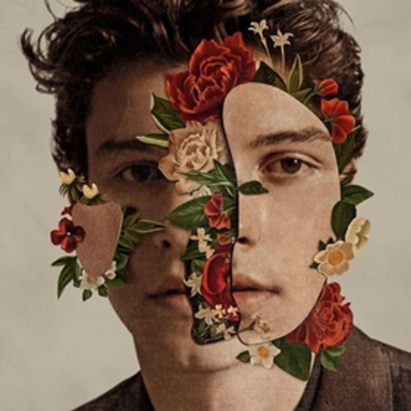 Shawn Mendes Releases SHAWN MENDES THE ALBUM Today  Image