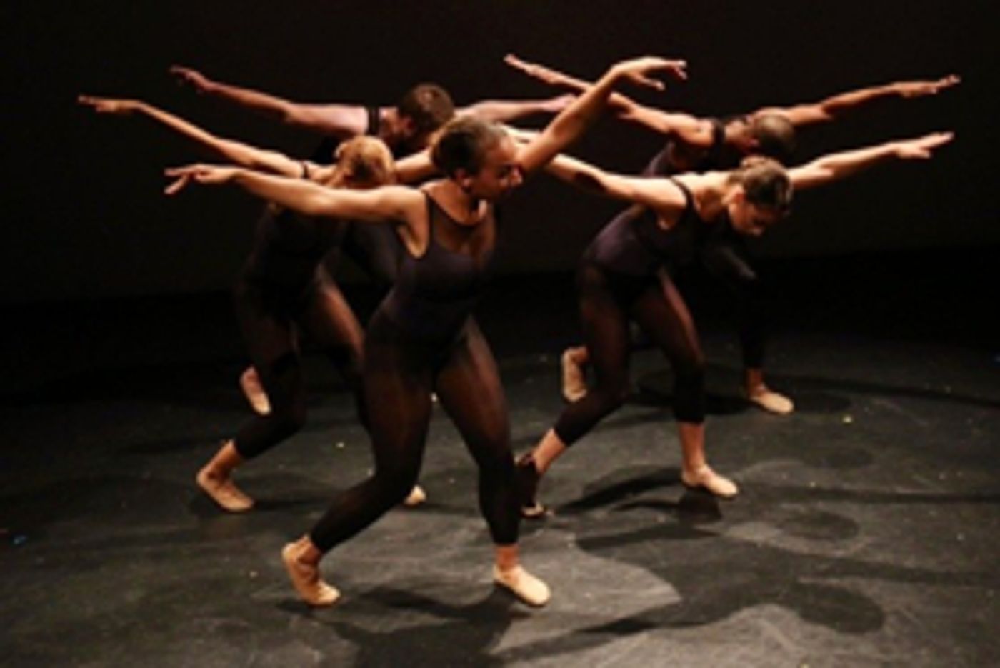VISIONS Contemporary Ballet Presents HEALING WORKS II on November 10  Image