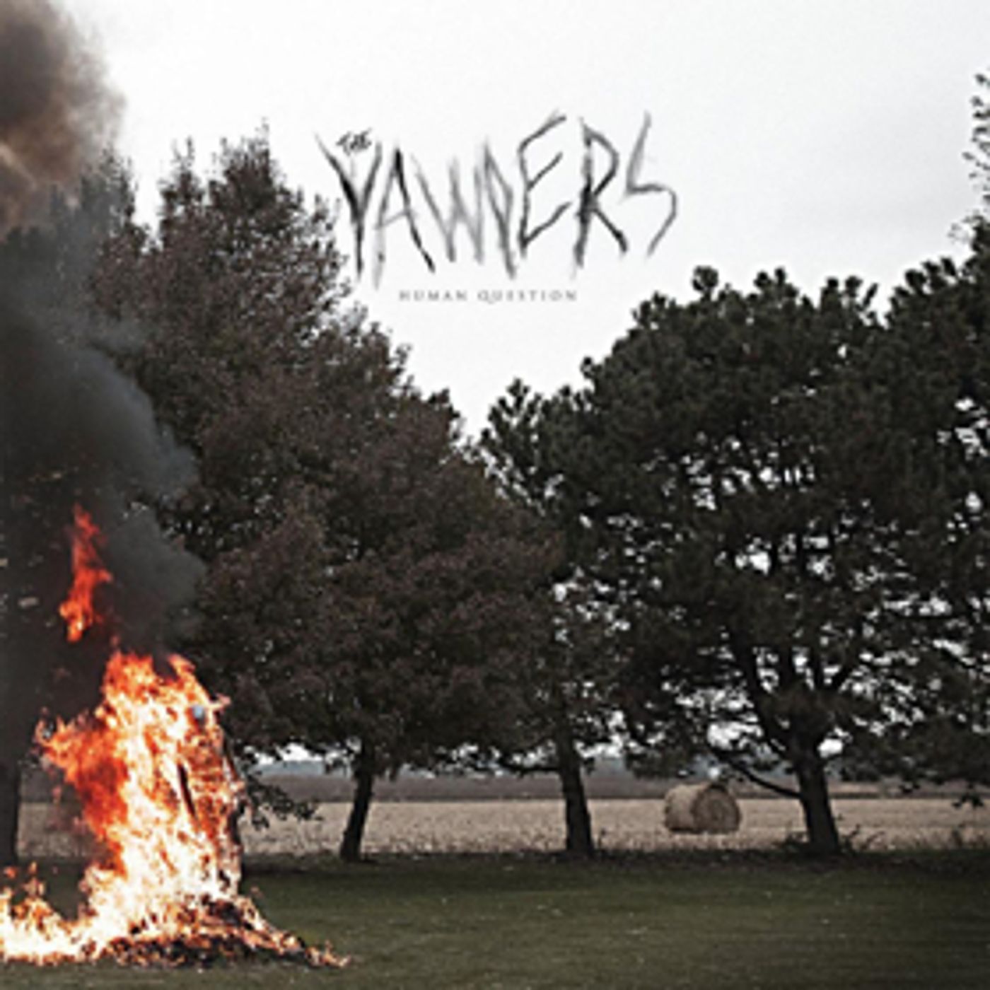 Yawpers Announce New Album and Tour Dates  Image