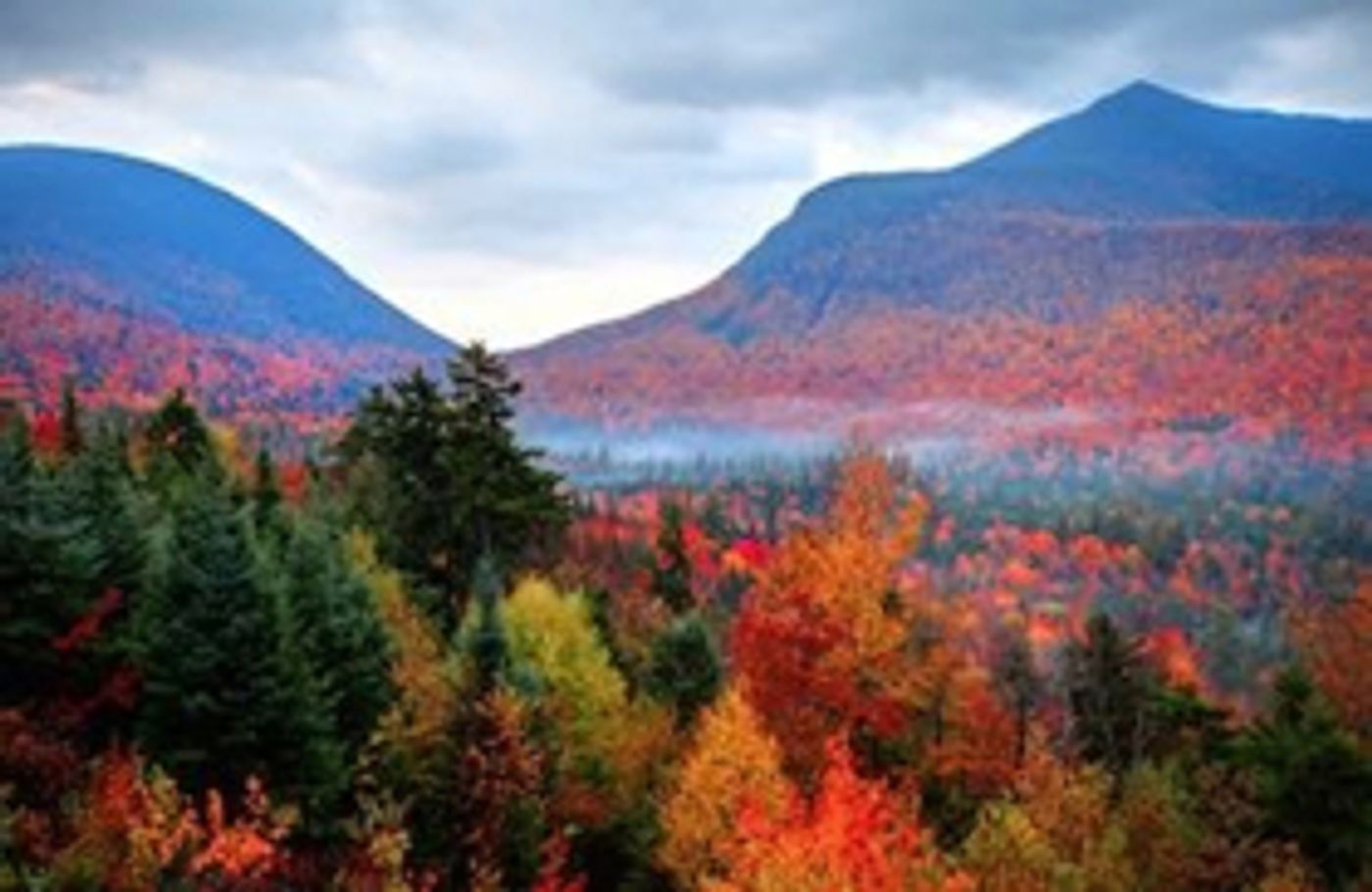 PBS and BBC Announce AUTUMNWATCH - NEW ENGLAND PBS and BBC Announce AUTUMNWATCH - NEW ENGLAND Image