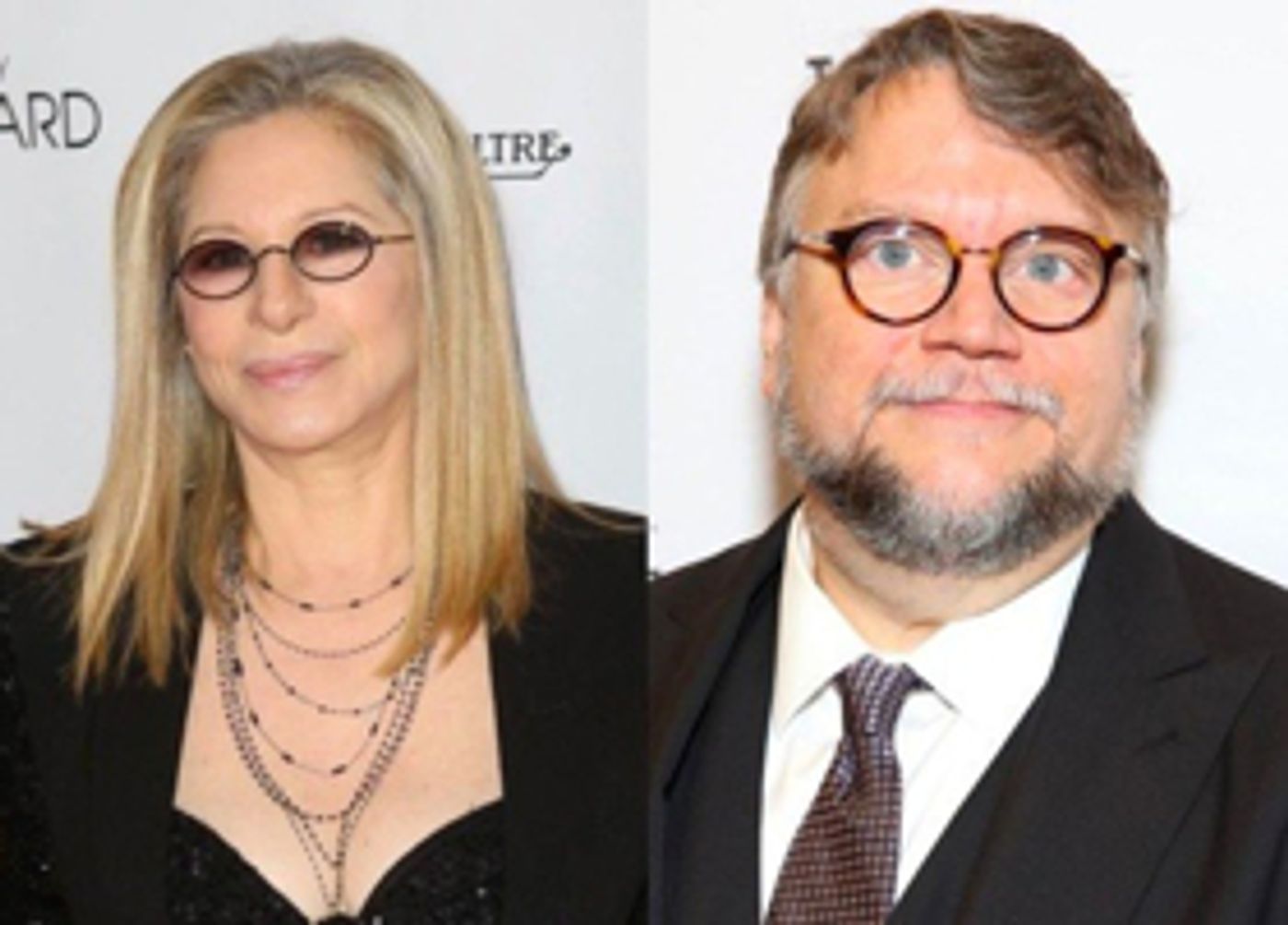 Barbra Streisand and Guillermo del Toro Join 40,000 Names on Petition to Save FilmStruck Barbra Streisand and Guillermo del Toro Join 40,000 Names on Petition to Save FilmStruck Image