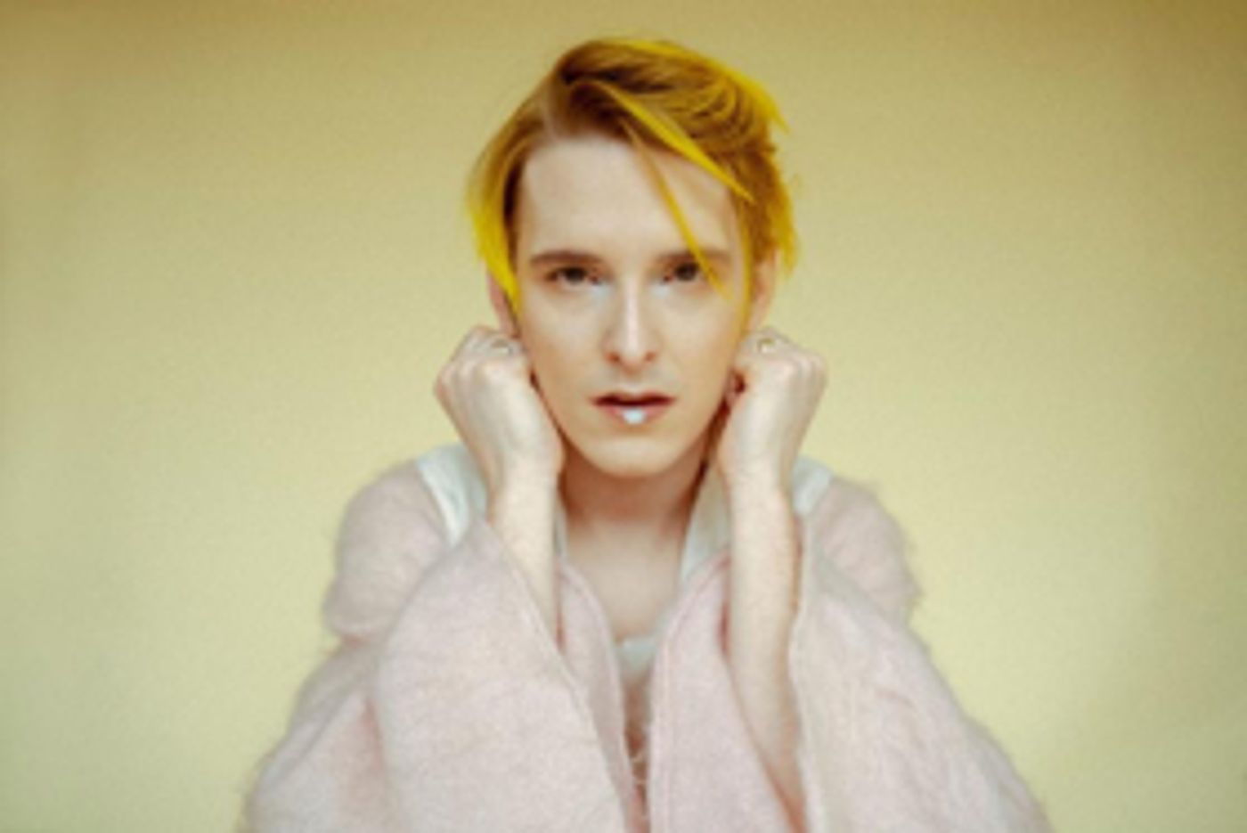 Diane Coffee Premieres New Song 'Like A Child Does'  Image