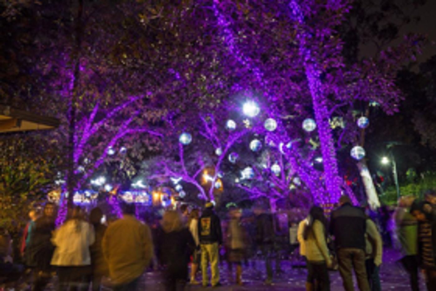 L.A. ZOO LIGHTS to Set the Zoo Aglow with Wonder This Winter  Image