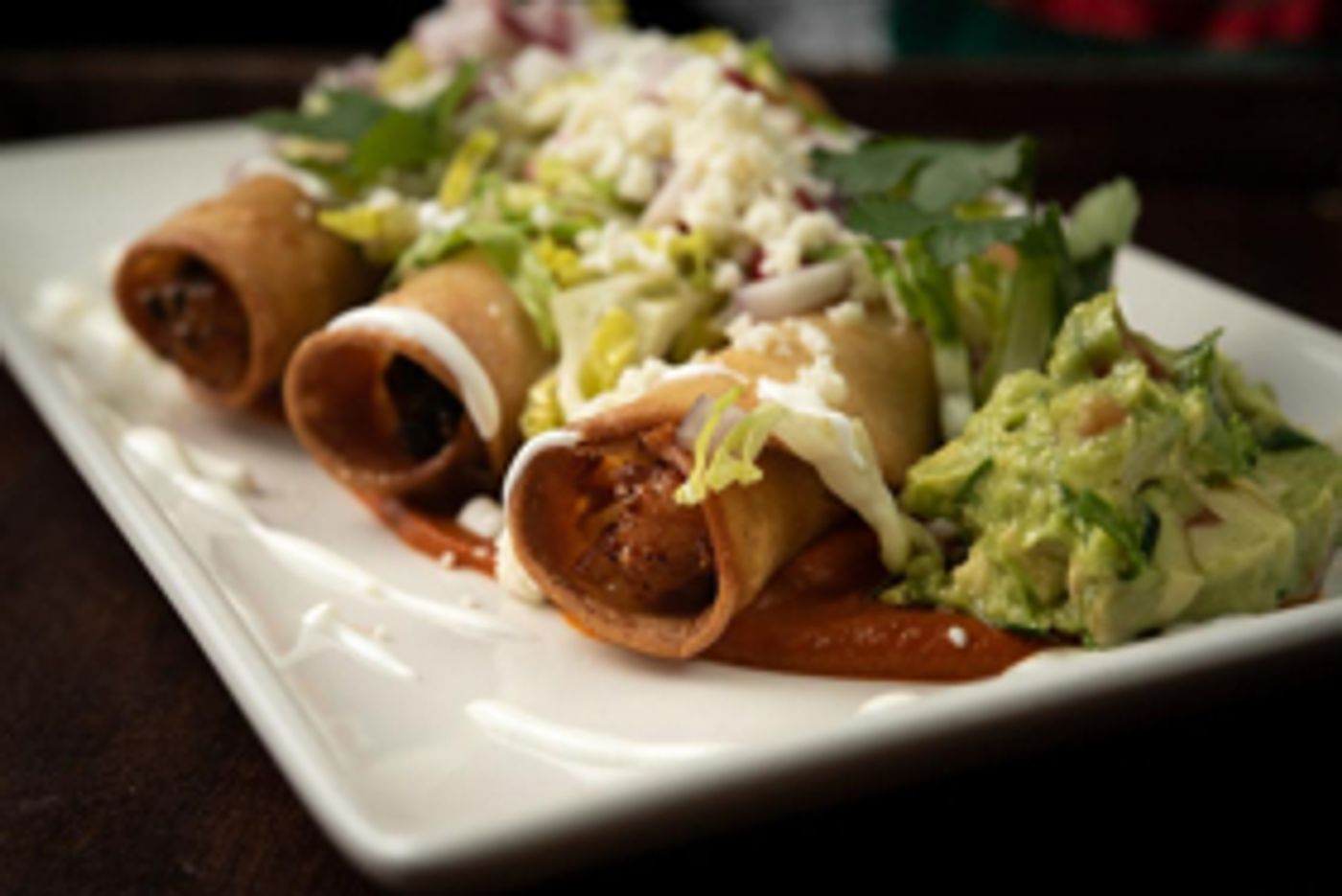 GREAT PERFORMANCES and Frida Kahlo: Appearances Can Be Deceiving at The Brooklyn Museum  Image