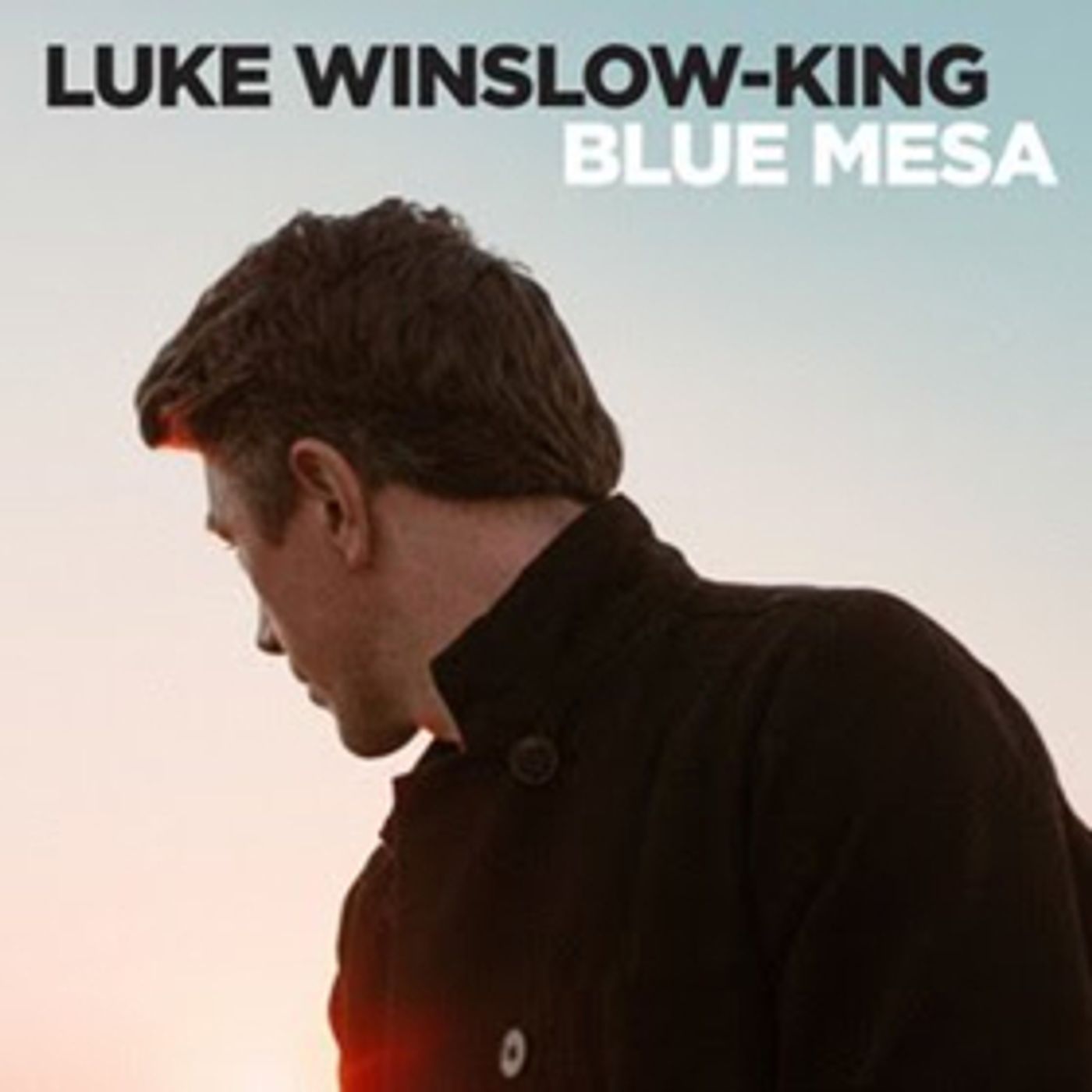 Genre-Sweeping Luke Winslow-King Shares Deeply Personal New Album BLUE MESA  Image