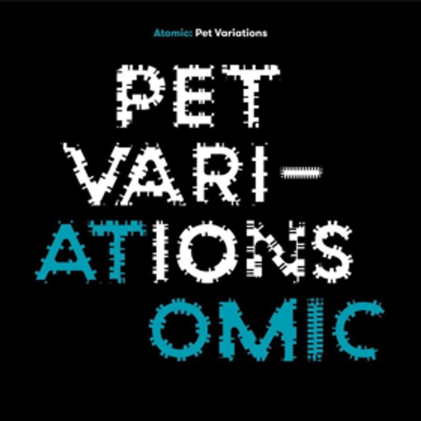 Scandinavian Supergroup Atomic Releases First Covers Album PET VARIATIONS Scandinavian Supergroup Atomic Releases First Covers Album PET VARIATIONS Image