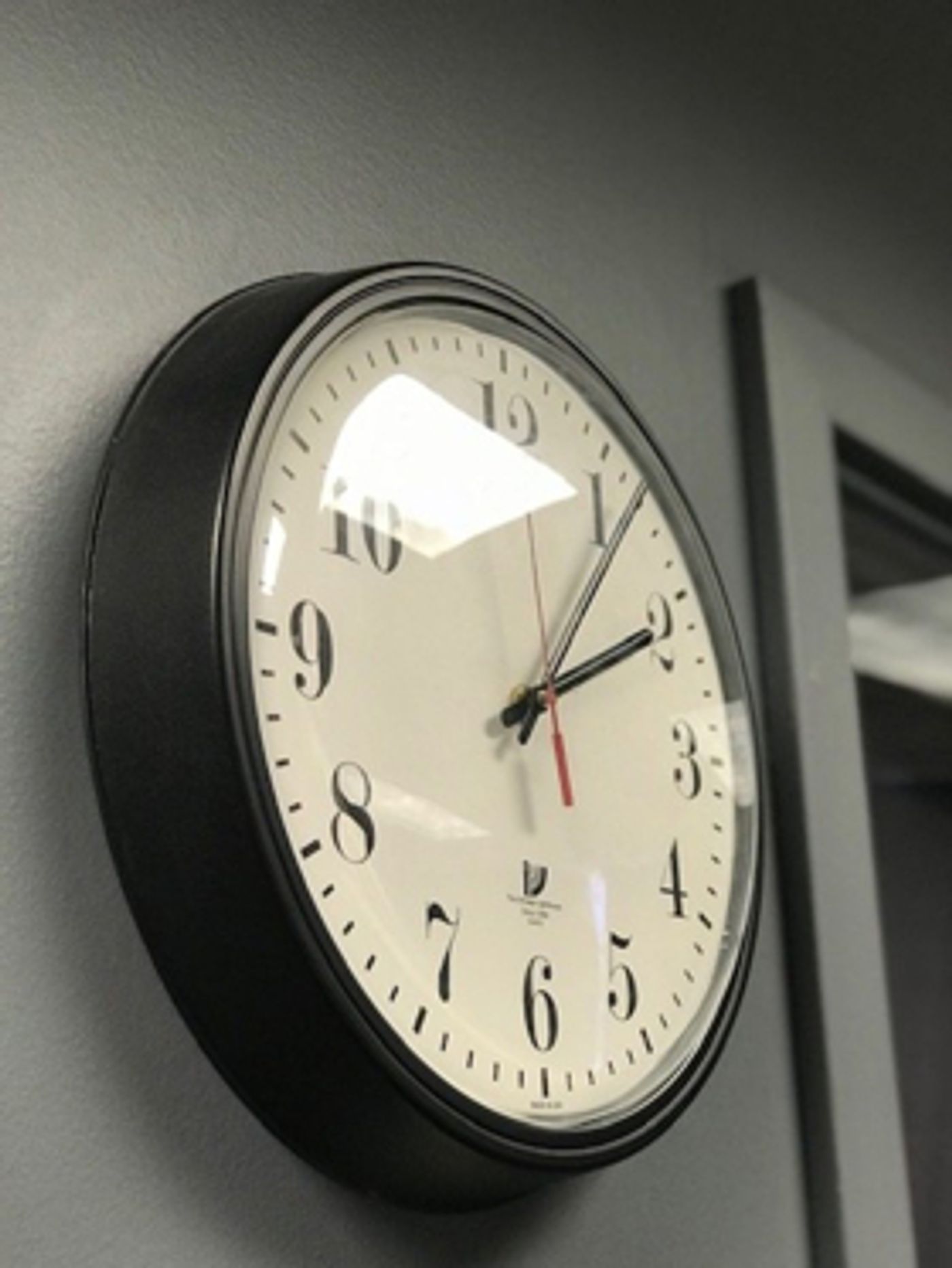 BWW Blog: Life with Wiggy- Time Management  Image