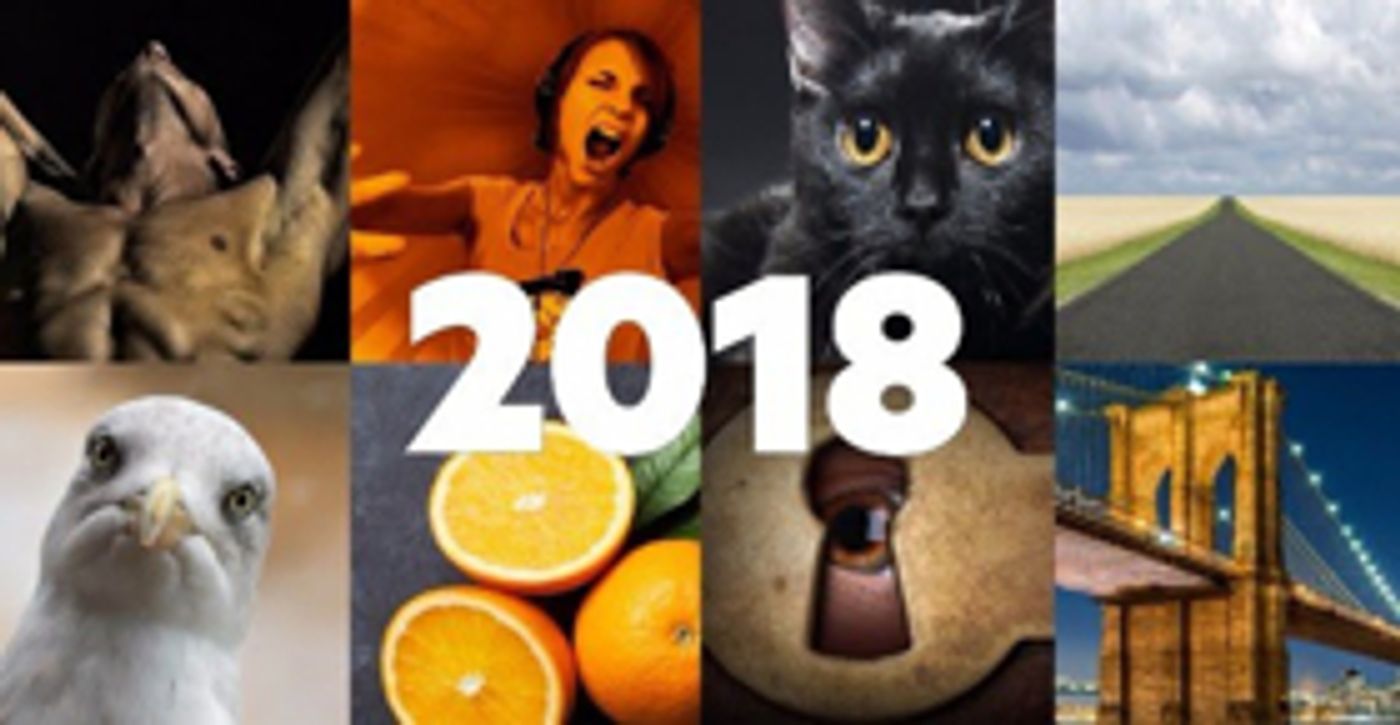 Two Australian Premieres and More Slated for New Theatre's 2018 Season Two Australian Premieres and More Slated for New Theatre's 2018 Season Image