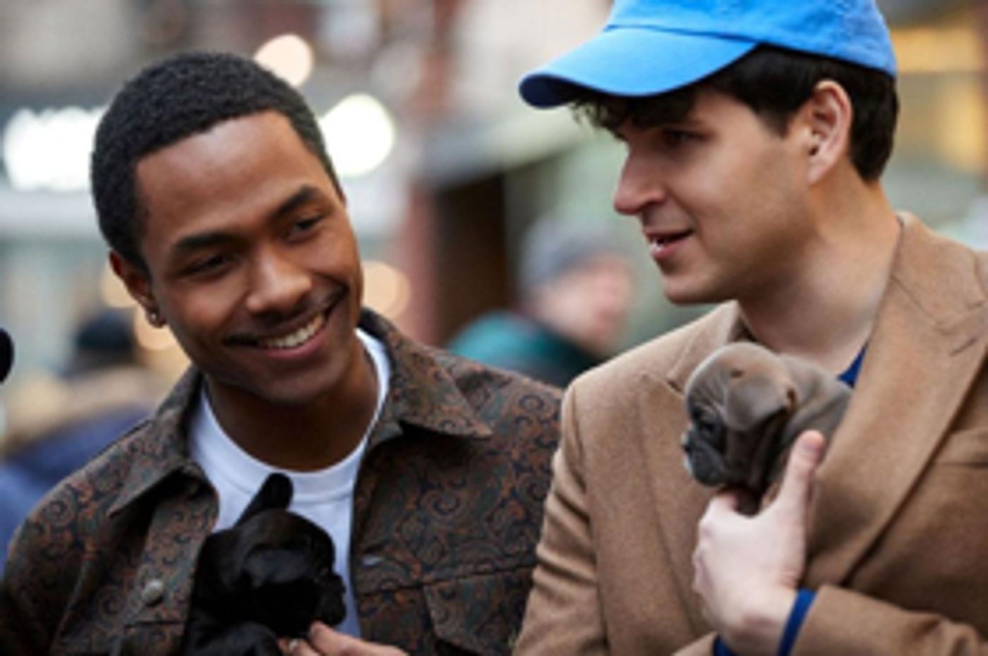 Vampire Weekend Release New Video For SUNFLOWER Vampire Weekend Release New Video For SUNFLOWER Image