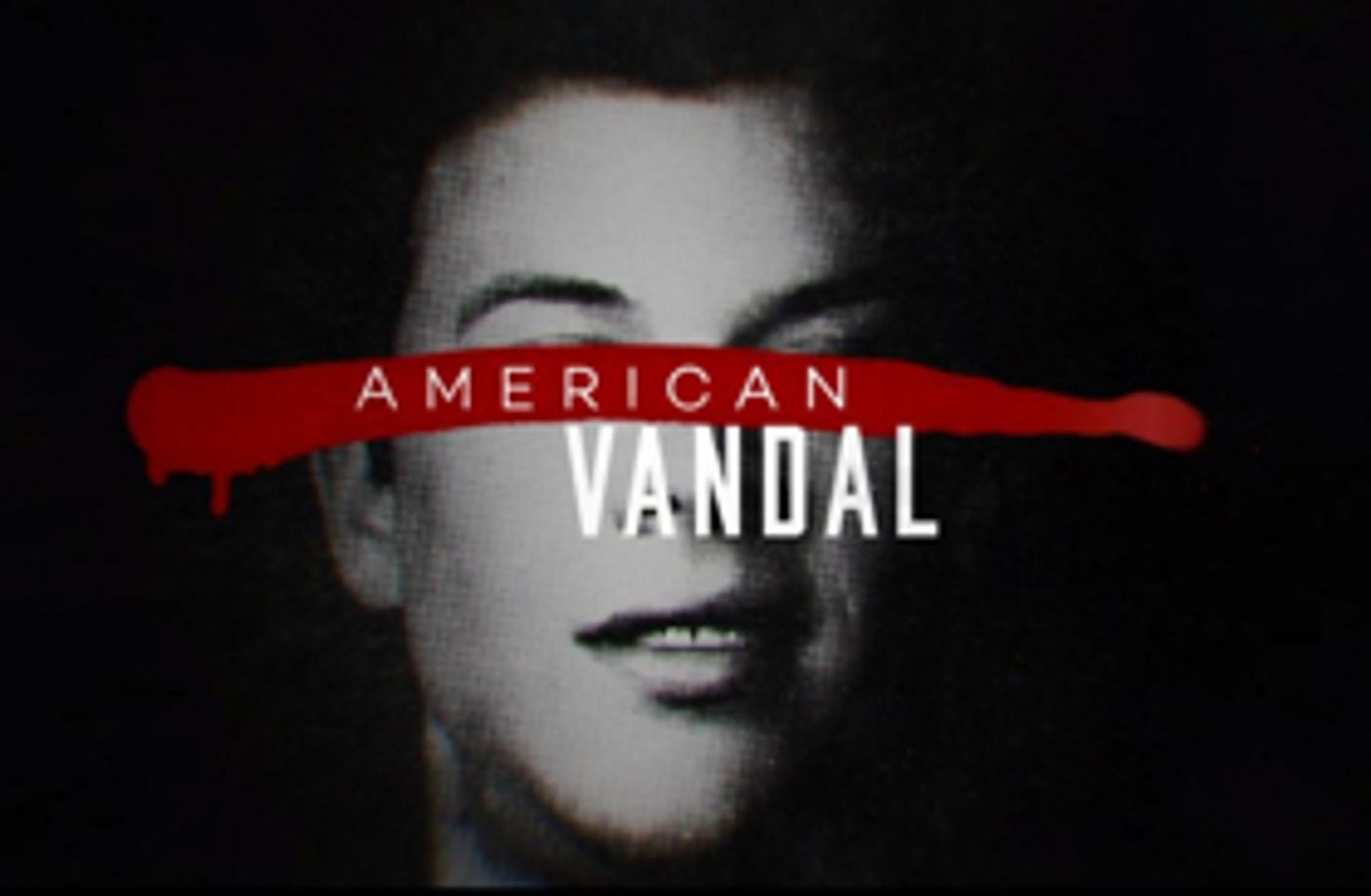 Netflix Cancels AMERICAN VANDAL Netflix Cancels AMERICAN VANDAL Image