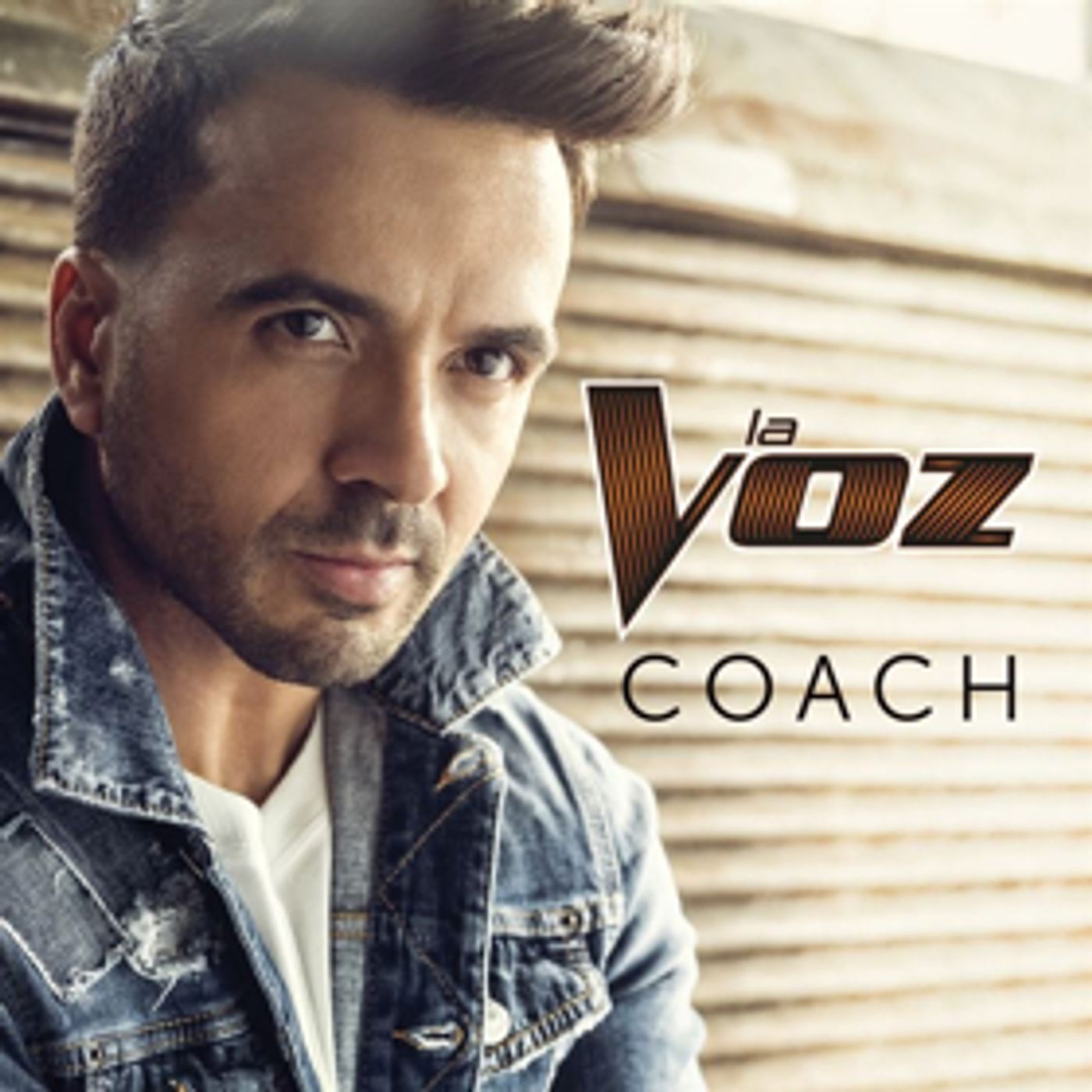 Multi-Platinum International Star Luis Fonsi Joins As Coach For Telemundo's Newly Announced LA VOZ (THE VOICE)  Image