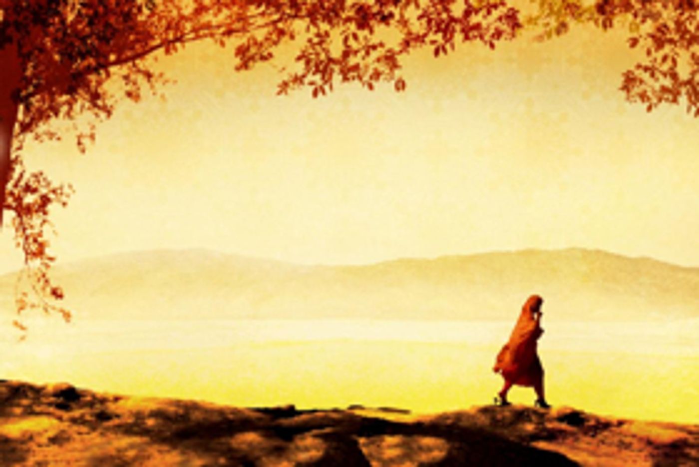 Full Casting Announced For A THOUSAND SPLENDID SUNS  Image