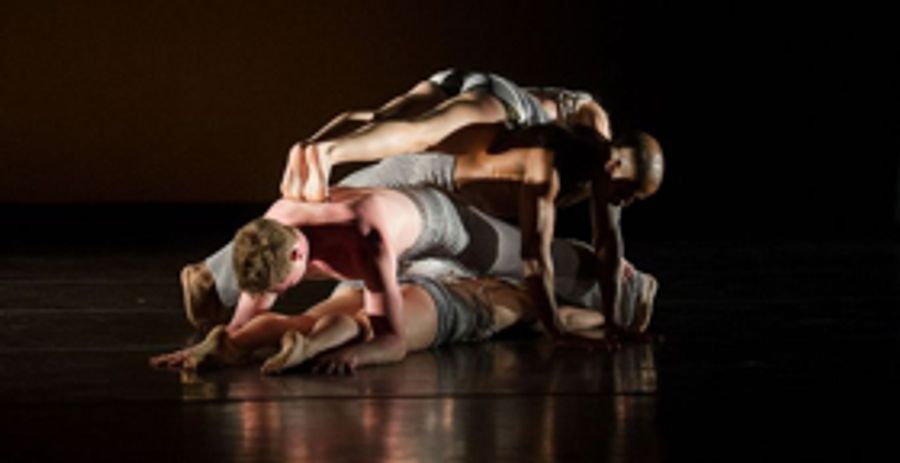 New Jersey Performing Arts Center Presents Jersey Moves! Festival of Dance: Carolyn Dorfman Dance Image