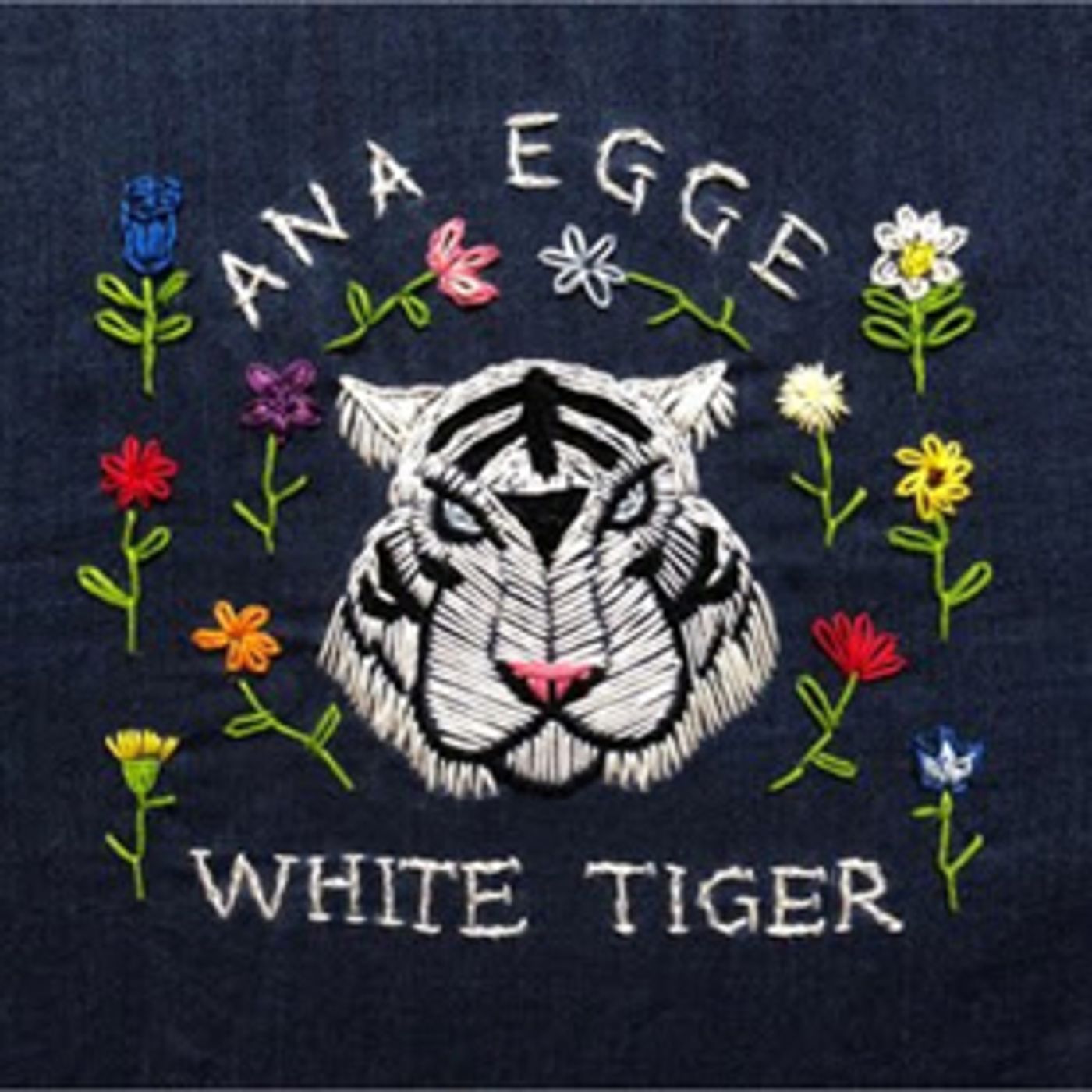Ana Egge's New Album WHITE TIGER Streaming Now on Folk Alley Ana Egge's New Album WHITE TIGER Streaming Now on Folk Alley Image