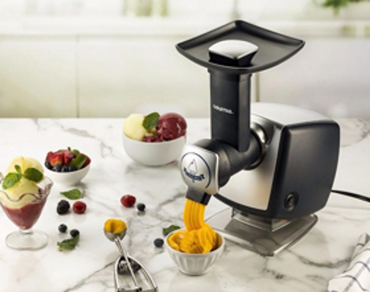 The GOURMIA AUTOMATIC FRUIT DESSERT MAKER is Ideal for Healthy and Delicious Frozen Treats The GOURMIA AUTOMATIC FRUIT DESSERT MAKER is Ideal for Healthy and Delicious Frozen Treats Image