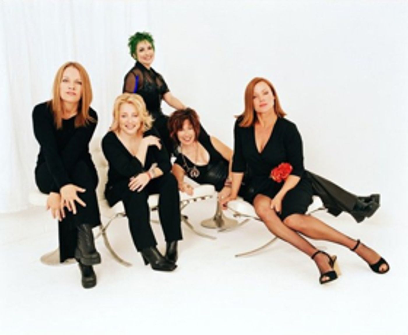 Showtime Acquires U.S. Rights to THE GO-GO'S Documentary  Image