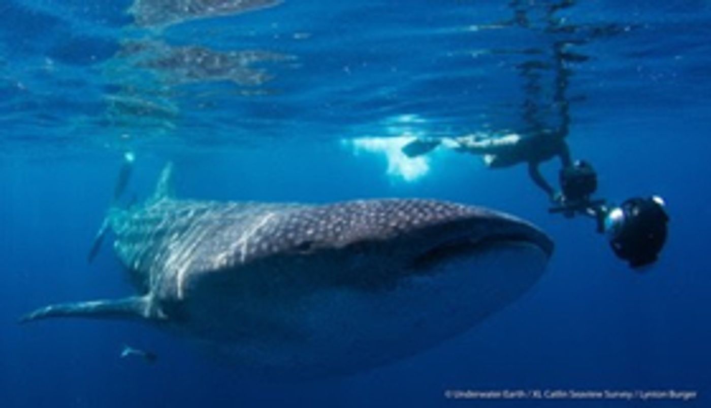 Earthx Unveils Lineup of Content for EarthxInteractive  Image