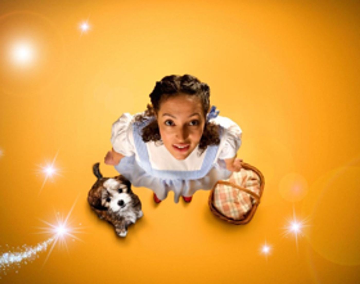 Follow the Yellow Brick Road to Birmingham Rep for THE WIZARD OF OZ  Image