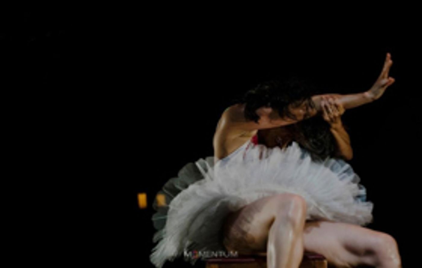 Compañías De Danza Y Teatro Fusionan Su Talento Para Crear Cielito Sweet, Retrato Escénico De Una Mujer Mexicana Compañías De Danza Y Teatro Fusionan Su Talento Para Crear Cielito Sweet, Retrato Escénico De Una Mujer Mexicana Image