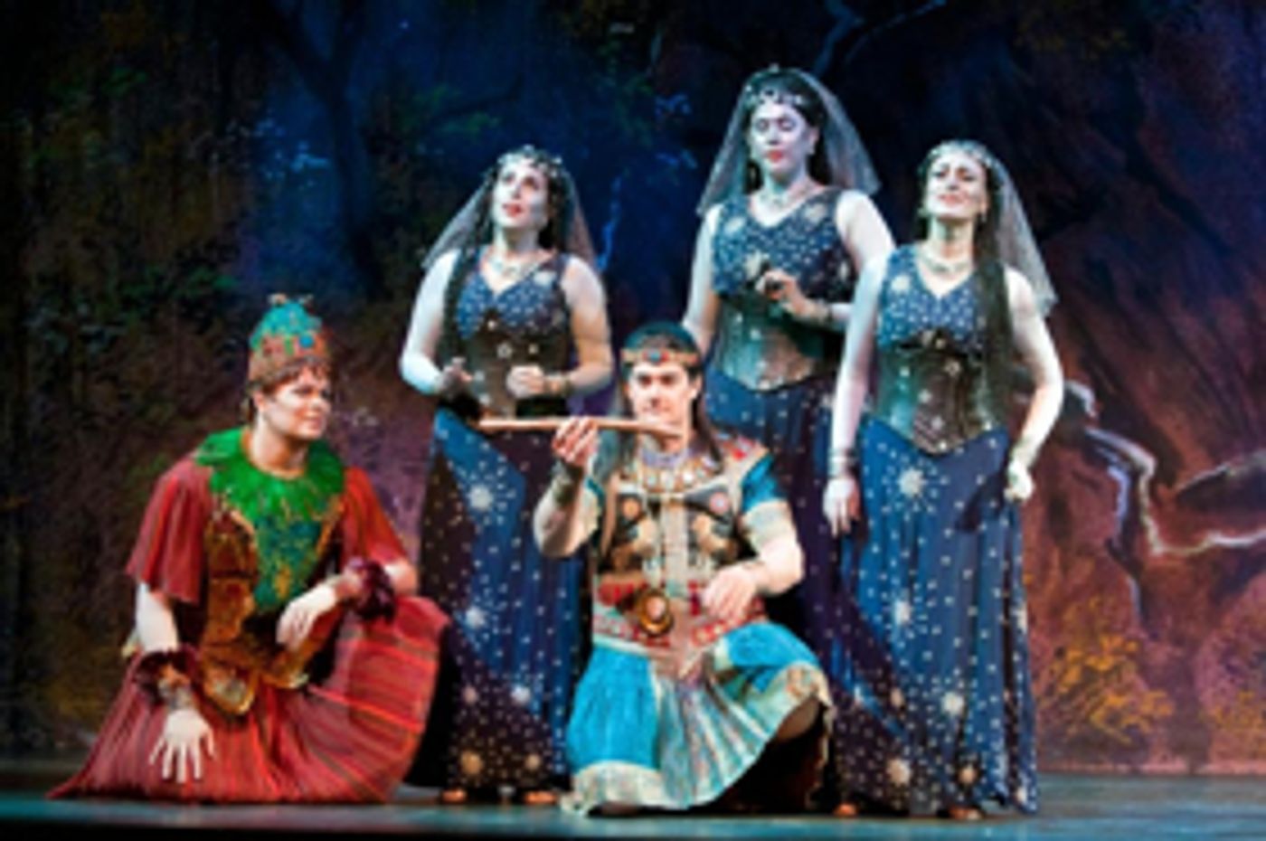 Sarasota Opera Receives $50,000 Arts Appreciation Grant From The Gulf Coast Community Foundation  Image