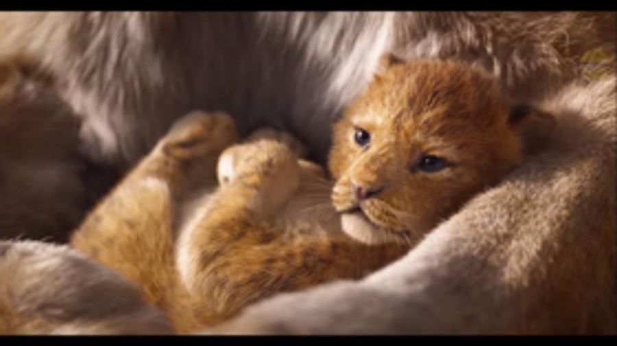 New Footage From THE LION KING And ALADDIN Debuts At CinemaCon  Image