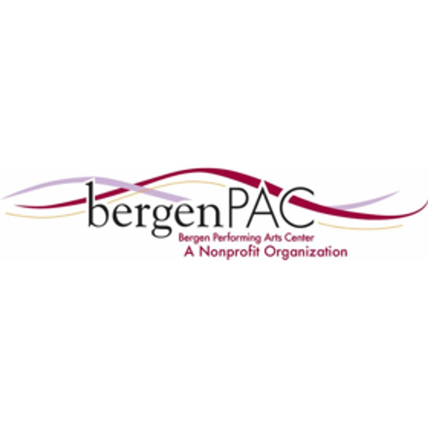 BergenPAC Presents Rufus Wainwright  Image