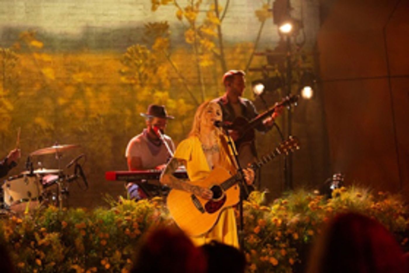 Skylar Grey Performs New Song SHAME ON YOU Ahead of Concert Premiere On AT&T AUDIENCE Network This Friday  Image
