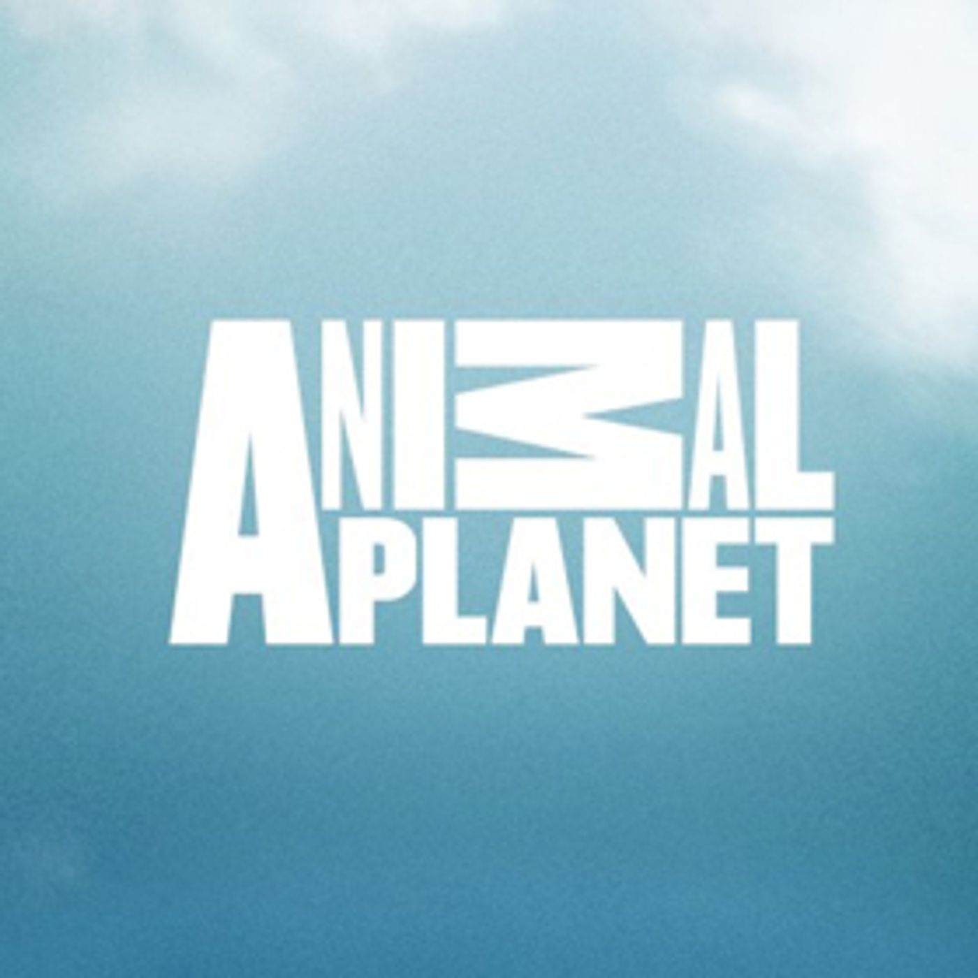 NORTH WOODS LAW Returns to Animal Planet for an All-New Season from New Hampshire on an All-New Night on Today  Image