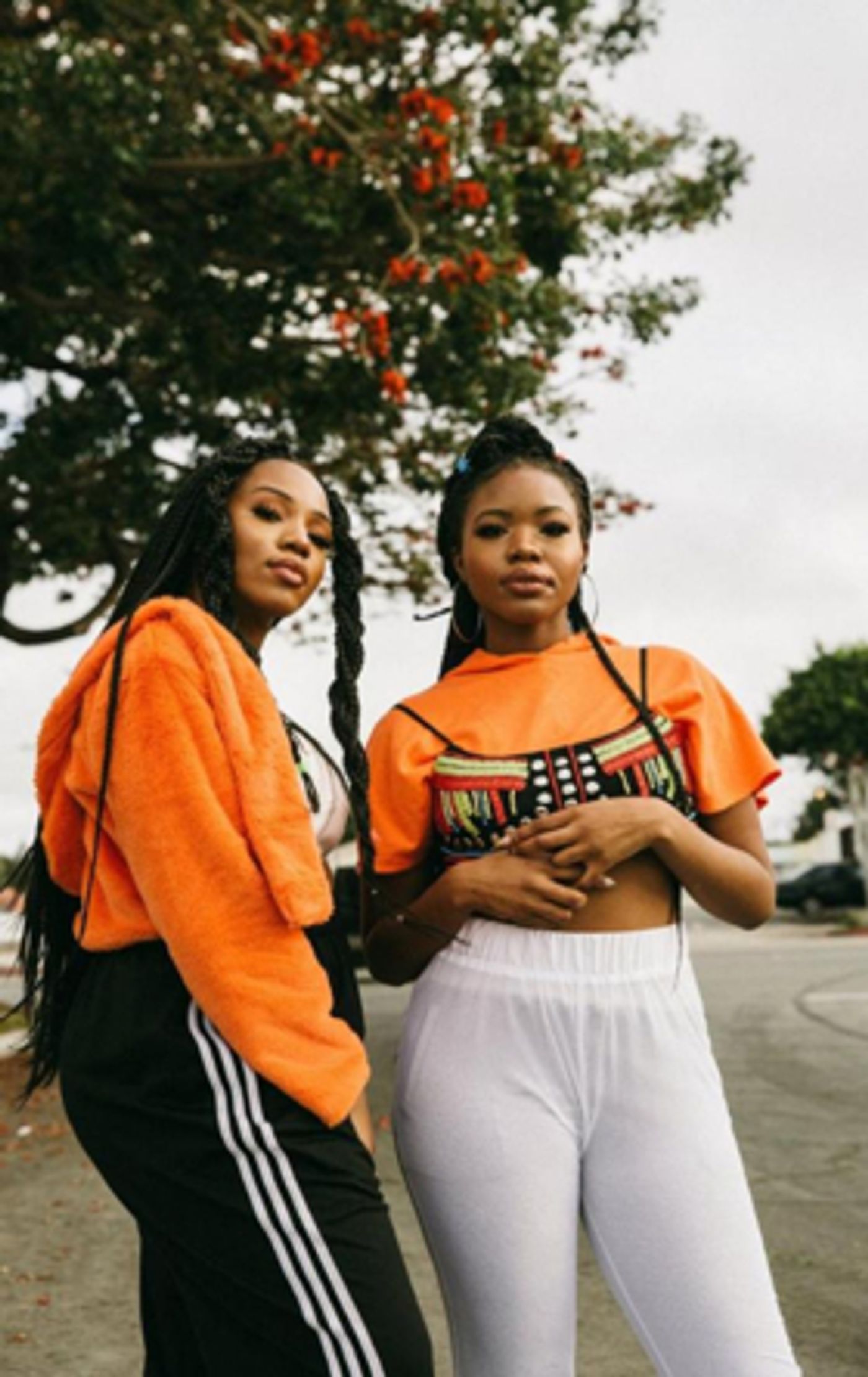 VanJess Shares Music Video For HONEYWHEAT  Image