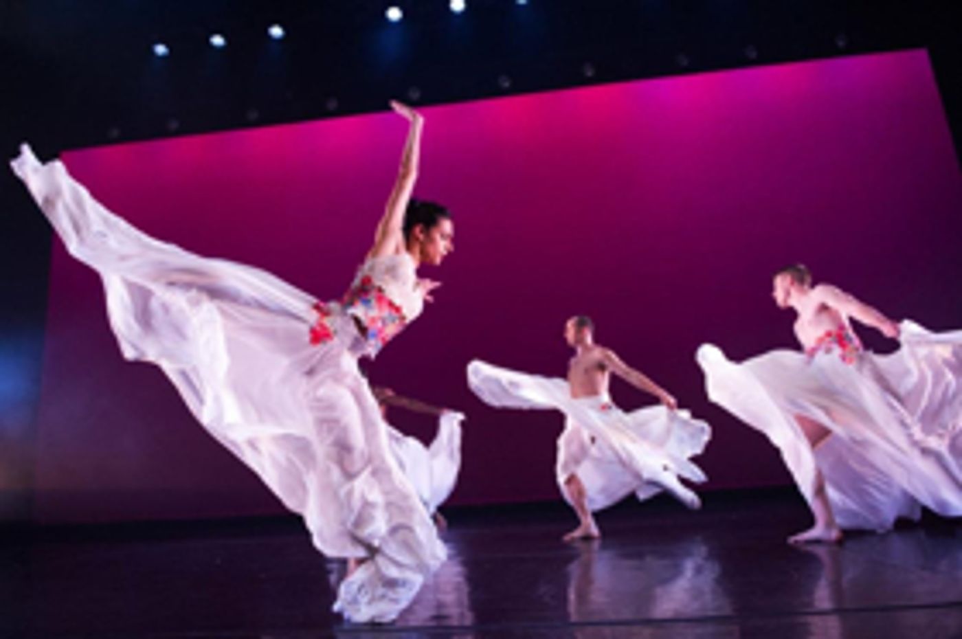 The Sarasota Ballet Presents Ballet Hispanico, America's Premiere Latino Dance Organization  Image