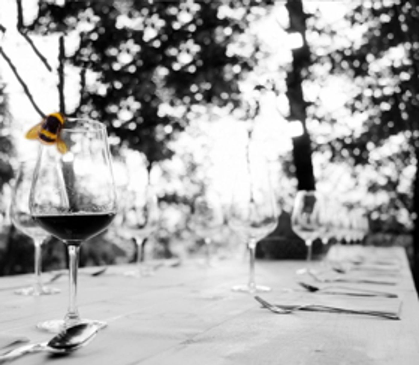 Casting Announced For HUMBLE BOY At The Orange Tree Theatre  Image