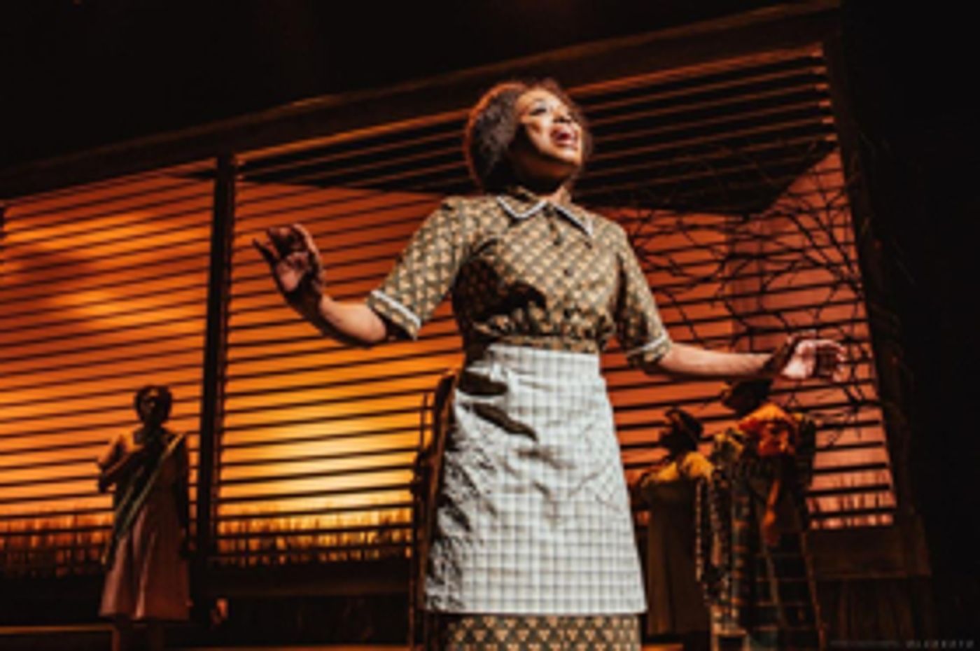 Review: Portland Center Stage's THE COLOR PURPLE Give Us What We Need Most: Hope Image