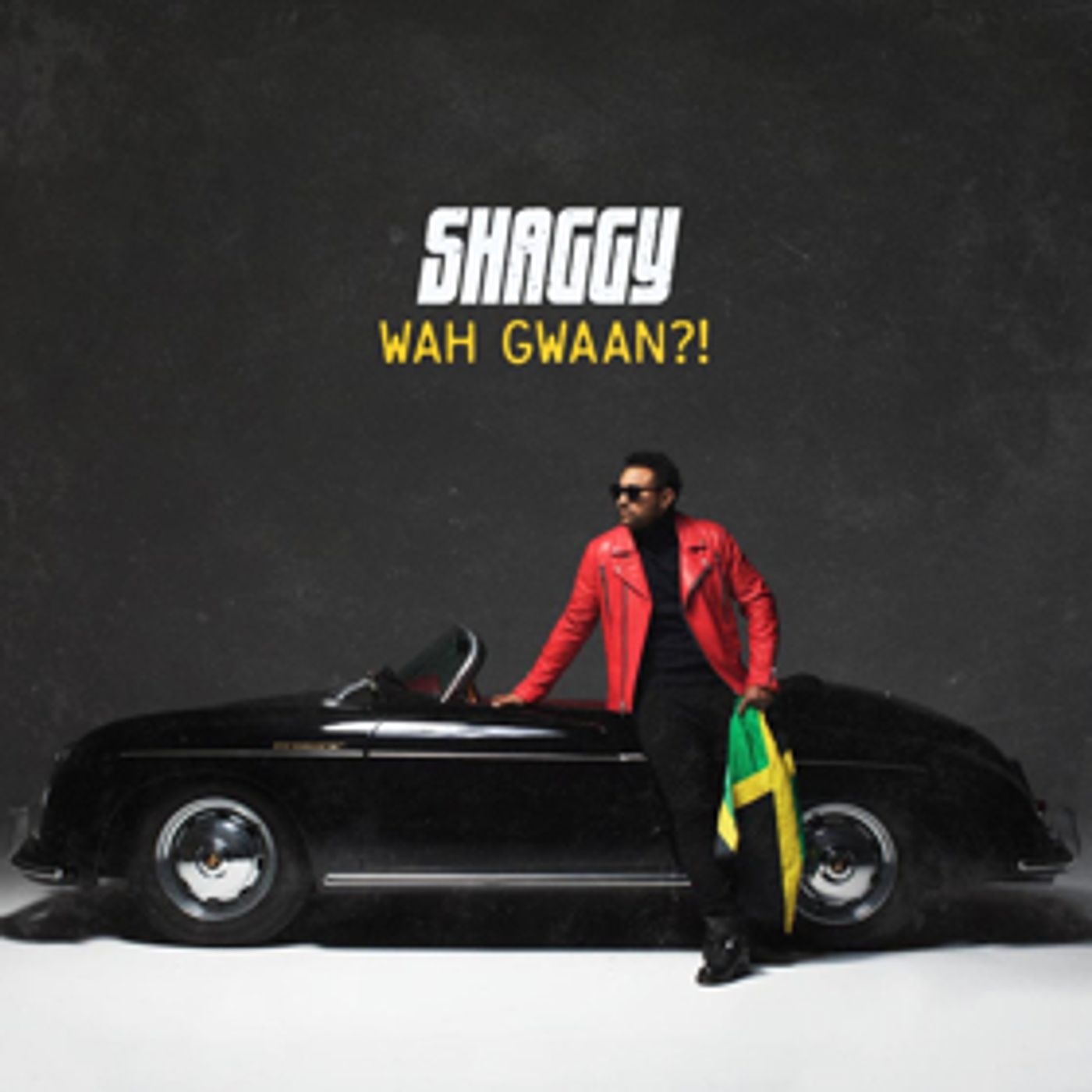 Shaggy Shares New Music Video, New Album Out 5/10 Shaggy Shares New Music Video, New Album Out 5/10 Image