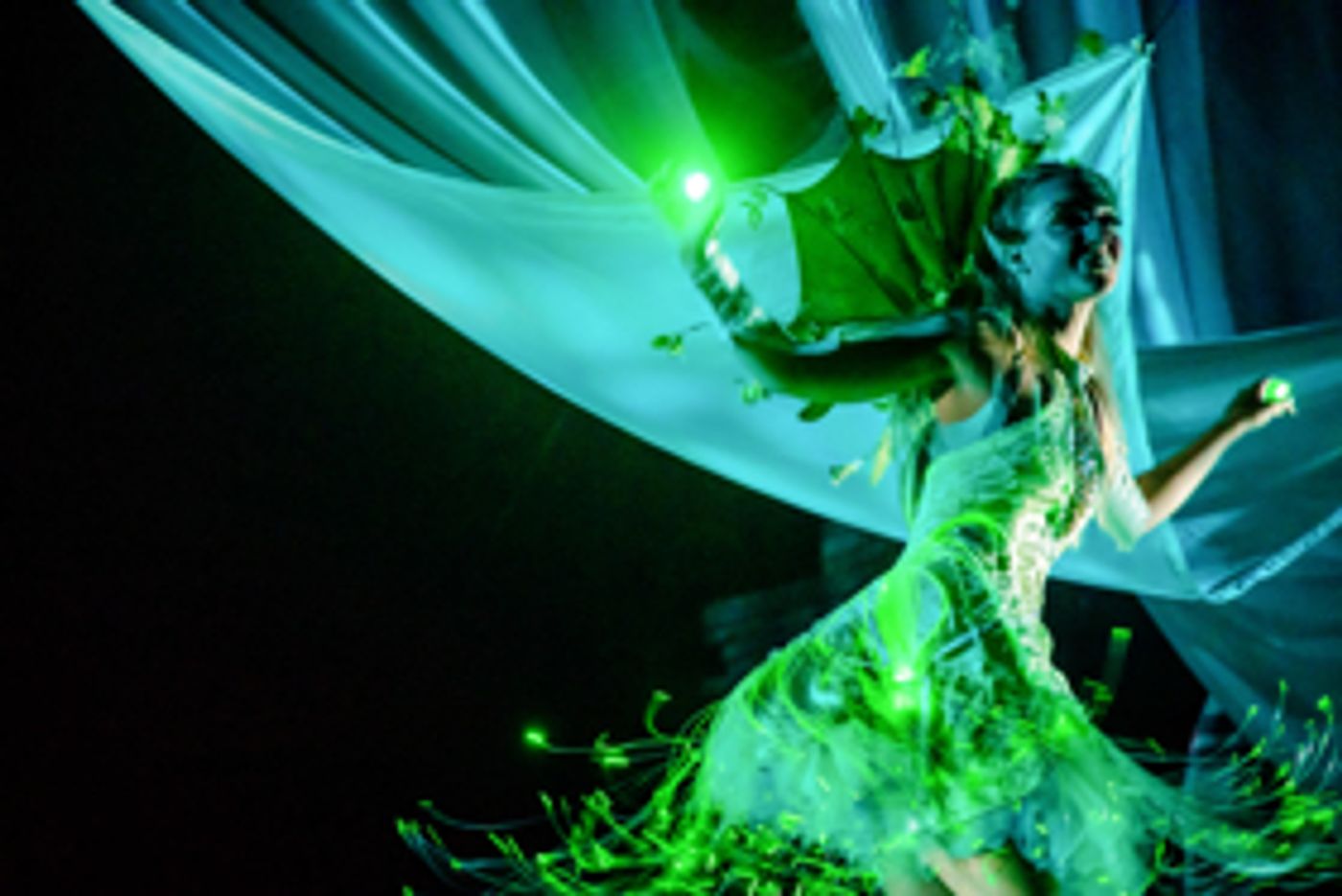 Review:  Synetic Theatre's PETER PAN is a Joyous but Mature Celebration of Neverland  Image